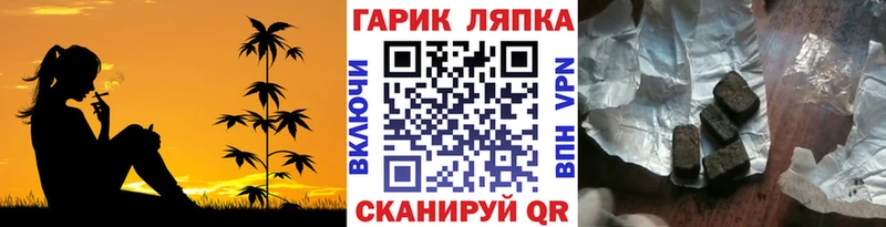 Купить где  Серафимович  Гашиш Изолятор 