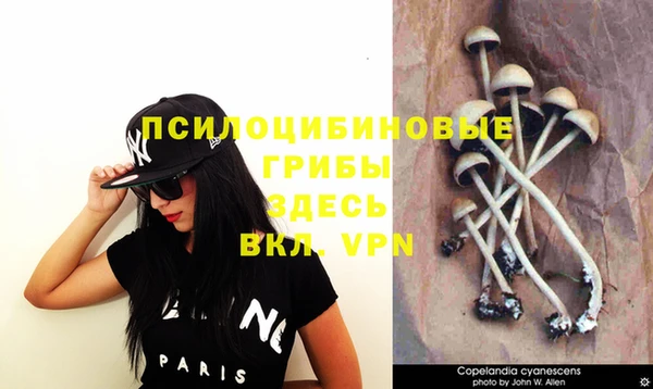 гашиш Новосибирск